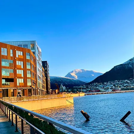 Borealis, Flat At Vervet Tromsø